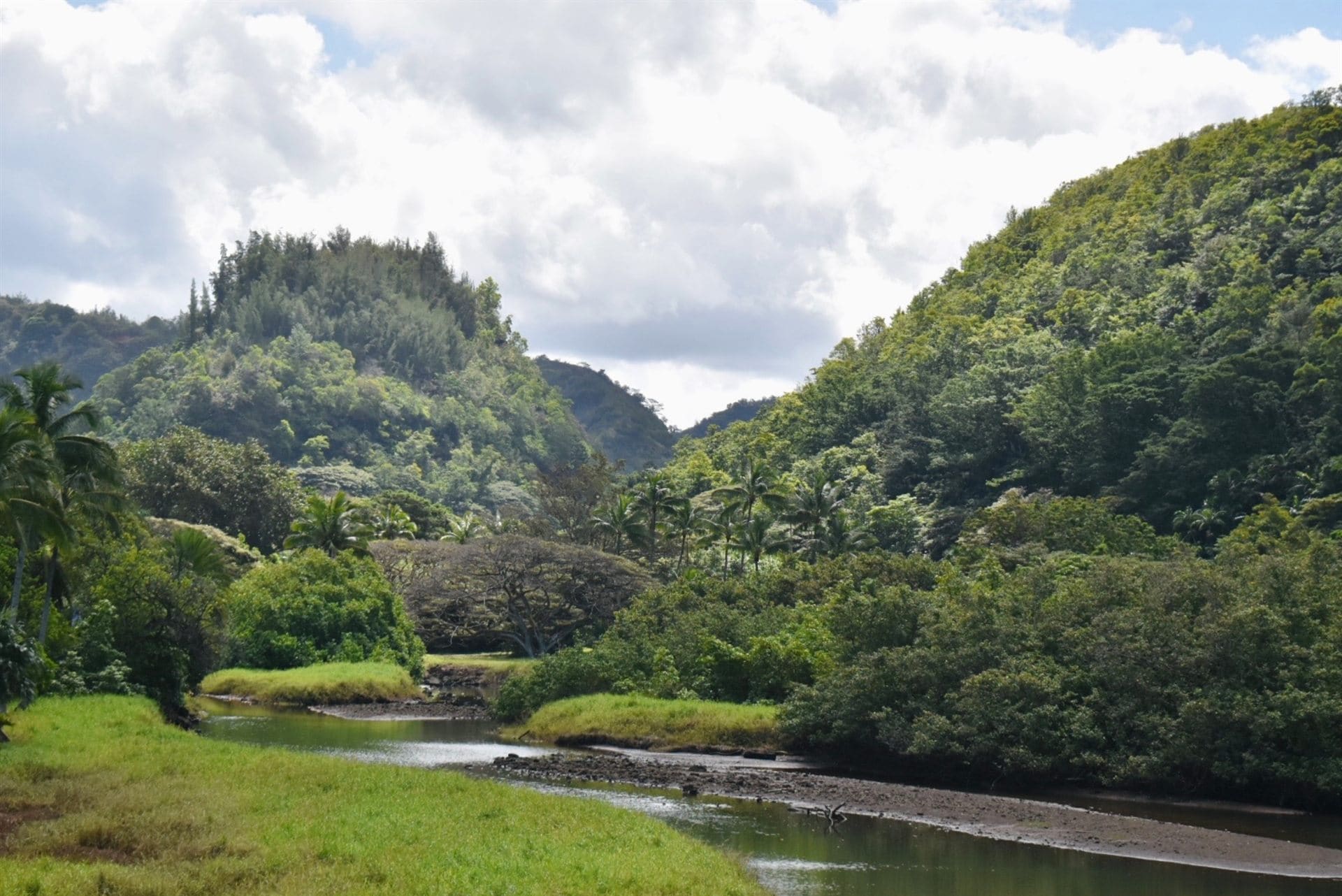 Nature — landscape